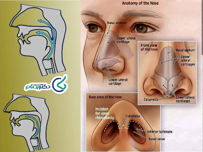 تنفس بعد عمل بینی